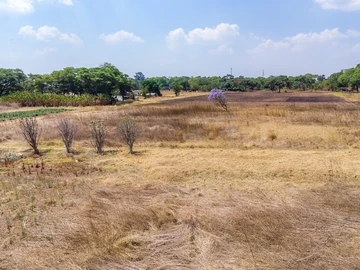 Farm & Agricultural Land