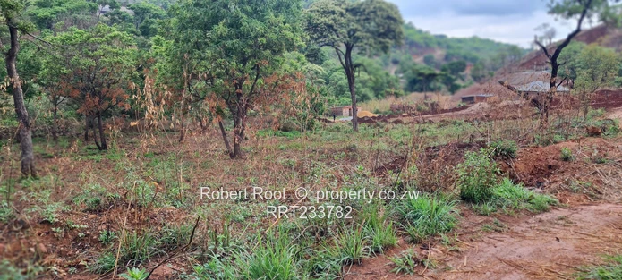 Build your dream home!