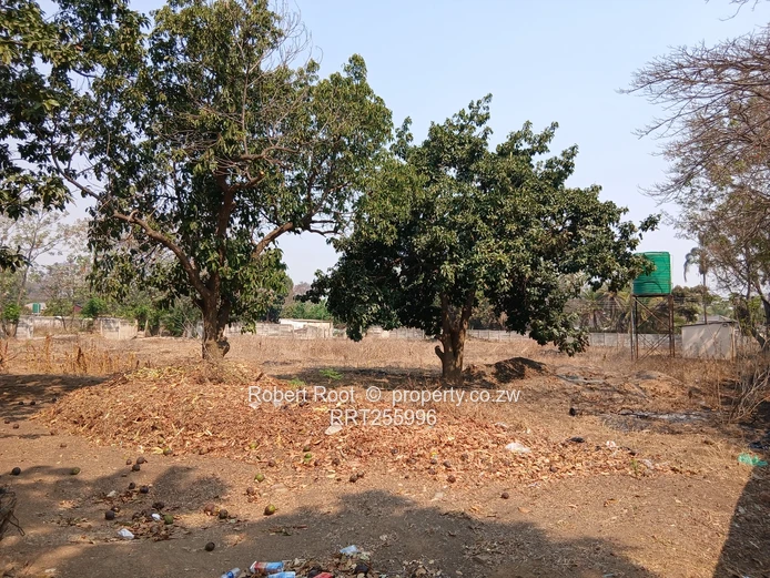 Harare Drive Frontage: 8239 sqm with a 4-Bed Home (Sole Mandate)