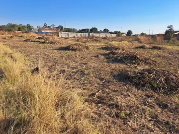 Stands & Residential Land