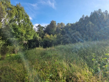 Farm & Agricultural Land