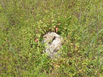 Farm & Agricultural Land