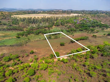 Farm & Agricultural Land