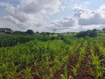 Commercial & Industrial Land