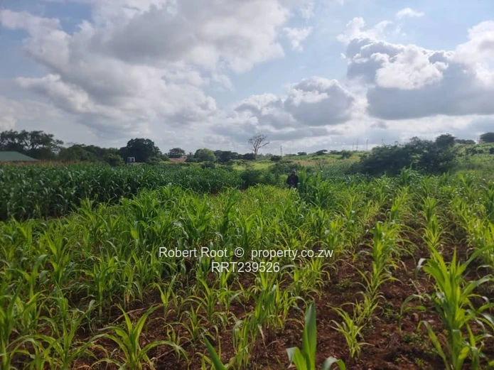 Prime Land on Chegutu Highway! 