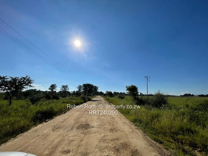 1Ha Plot Ideal For City Living And Horticulture