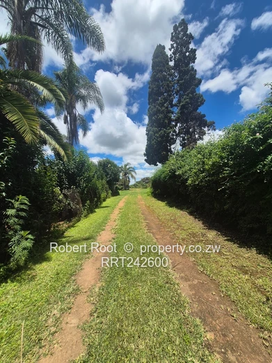 Prime land in Mt Hampden