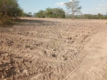 Farm & Agricultural Land