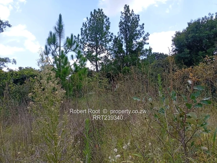 Agro-Residential Plot In Gardiner Area, Goromonzi!