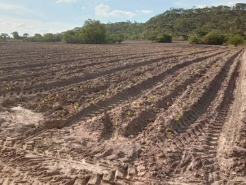 Farm & Agricultural Land