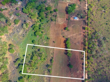 Farm & Agricultural Land