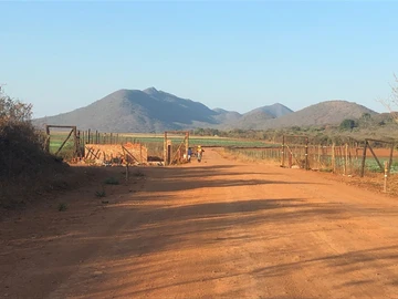 Stands & Residential Land