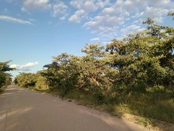 Farm & Agricultural Land