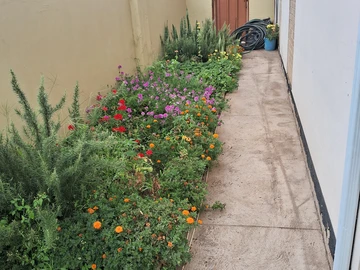 3 Bedroom Flat & Apartment