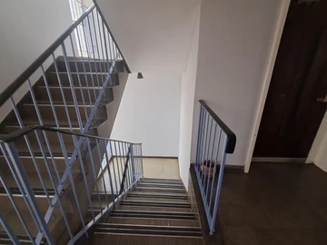 Flat & Apartment