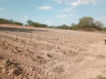 Farm & Agricultural Land