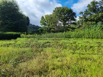 Farm & Agricultural Land