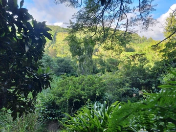 Farm & Agricultural Land