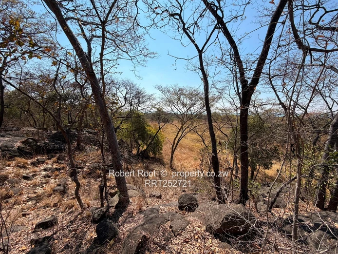 1.56ha at Darwendale with Lake View
