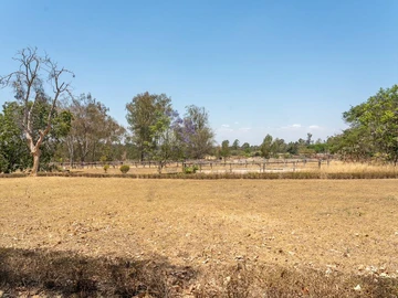 Farm & Agricultural Land