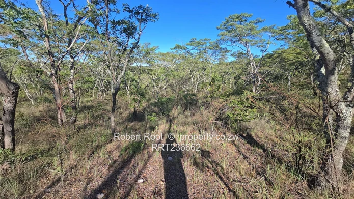 Picturesque Stand For Sale Juliasdale, Inyanga