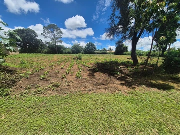 Commercial & Industrial Land