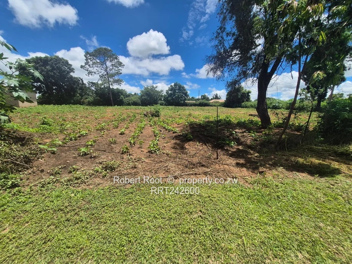 Prime land in Mt Hampden