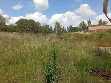 Farm & Agricultural Land